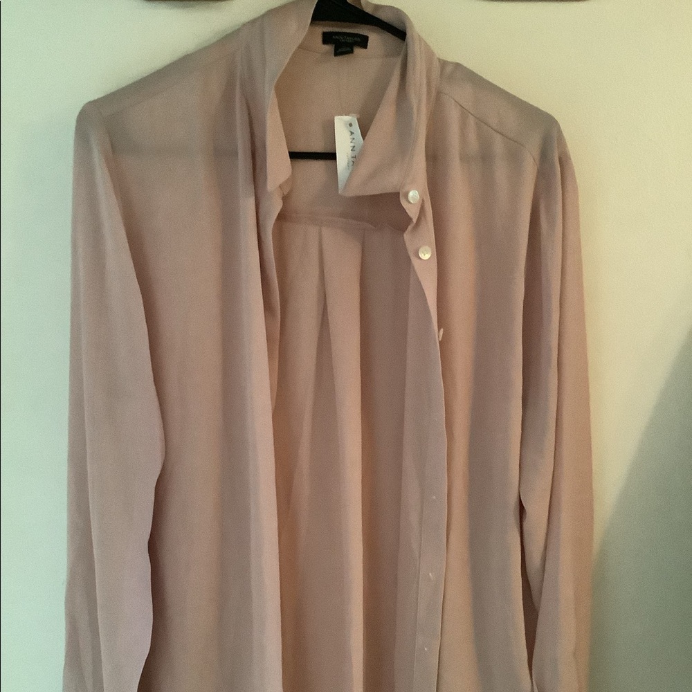 Ann Taylor sheer dusty rose long sleeve blouse.